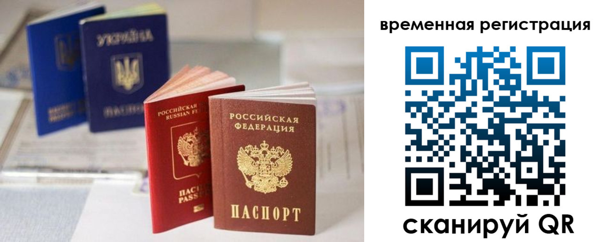 прописка поиск в Торжоке